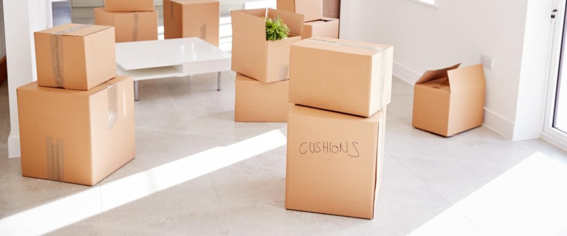 The Ultimate Guide to Choosing the Best Bradley FL Movers Companies